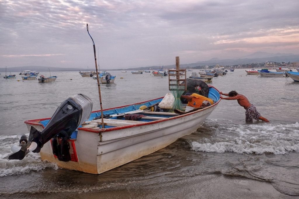 Struggling To Launch - Richard Krieger